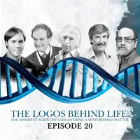 The Surprising Rebirth Of Belief In God artwork