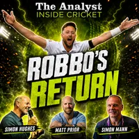 The Analyst Inside Cricket artwork