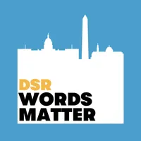 The DSR Network artwork