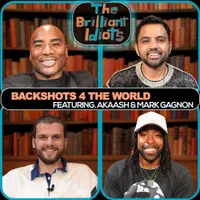 The Brilliant Idiots artwork