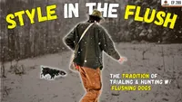 Gun Dog It Yourself artwork