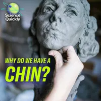 Science Quickly artwork