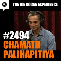 The Joe Rogan Experience artwork