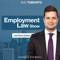 The Employment Law Show artwork