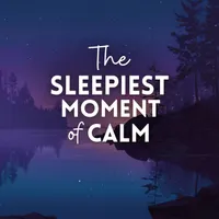 Get Sleepy: Sleep meditation and stories artwork