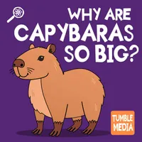 Tumble Science Podcast for Kids artwork