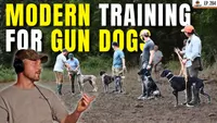 Gun Dog It Yourself artwork