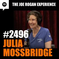 The Joe Rogan Experience artwork