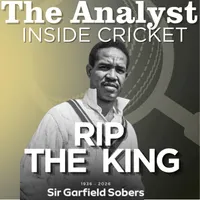 The Analyst Inside Cricket artwork