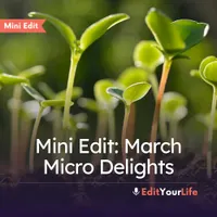 Edit Your Life | Simplify + Declutter Your Home, Time, and Mental Space artwork