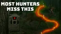 Truth From The Stand Deer Hunting Podcast artwork