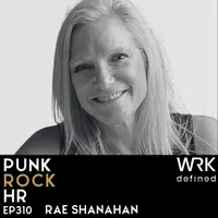 Punk Rock HR artwork