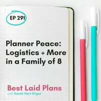 Best Laid Plans artwork