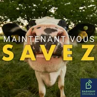 Maintenant, vous savez artwork