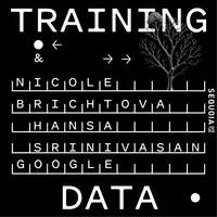 Training Data artwork