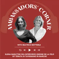 Italian Wine Podcast artwork