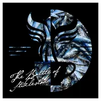 The Amelia Project artwork