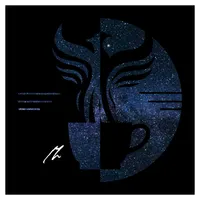 The Amelia Project artwork