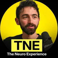 The Neuro Experience artwork