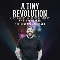A Tiny Revolution artwork