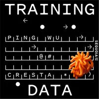 Training Data artwork