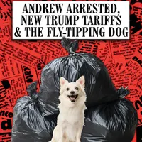 In The News This Week (the Have I Got News For You podcast) artwork