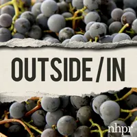 Outside/In artwork