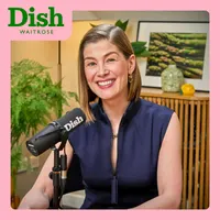 Dish artwork