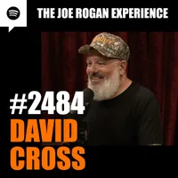 The Joe Rogan Experience artwork
