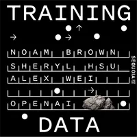 Training Data artwork