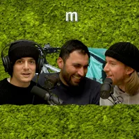 Muschio Selvaggio artwork