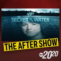 20/20 artwork
