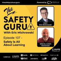 The Safety Guru artwork