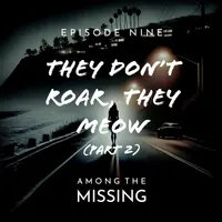 Among The Missing artwork