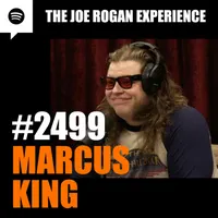 The Joe Rogan Experience artwork
