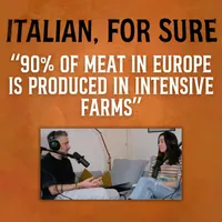 ITALIAN, FOR SURE  |  Conversations with Italians in Italy About Italian Culture artwork