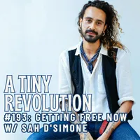 A Tiny Revolution artwork