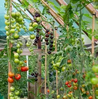 Gardening with the RHS artwork