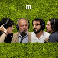 Muschio Selvaggio artwork