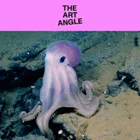 The Art Angle artwork
