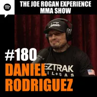 The Joe Rogan Experience artwork