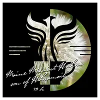 The Amelia Project artwork