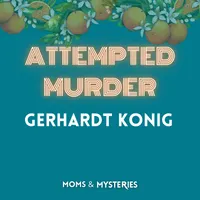 Moms and Mysteries: A True Crime Podcast artwork
