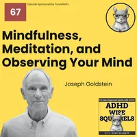 ADHD Wise Squirrels for late-diagnosed adults with ADHD. artwork