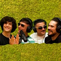 Muschio Selvaggio artwork