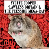 In The News This Week (the Have I Got News For You podcast) artwork