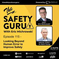 The Safety Guru artwork