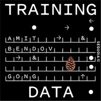 Training Data artwork