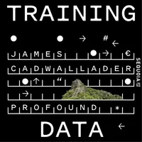 Training Data artwork