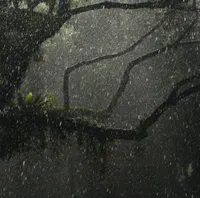 Sleepy Rain artwork